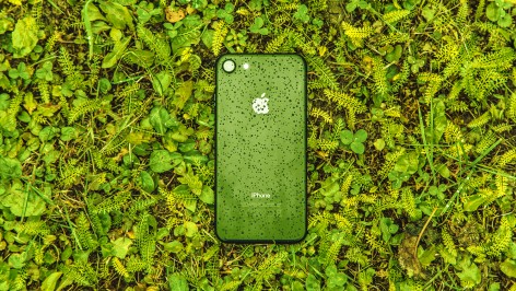 Jednou se dočkáme. Zelený iPhone.